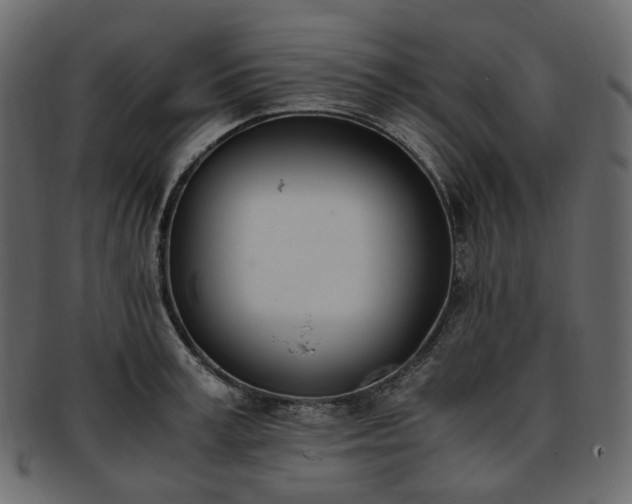 X0000093390995200710191150