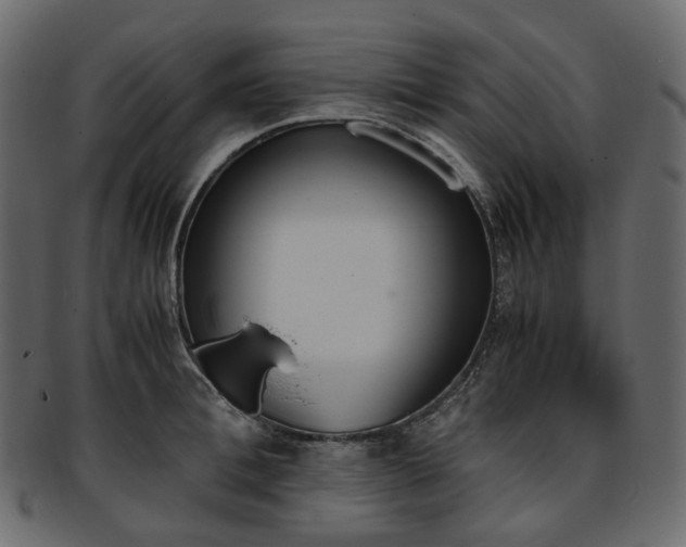 X0000093390996200710191150