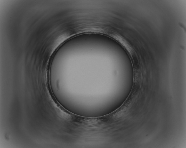 X0000093390999200710191150