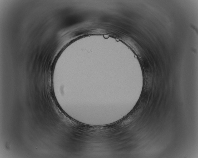 X0000093391000200710191150