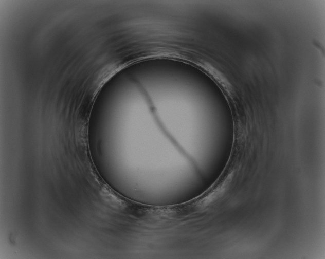 X0000093391001200710191150