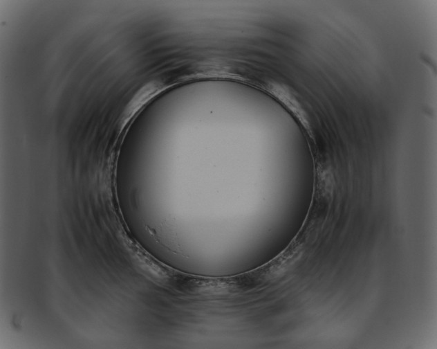 X0000093391002200710191150