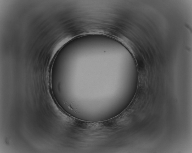 X0000093391003200710191150