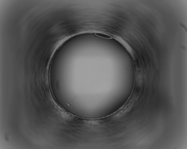 X0000093391004200710191150