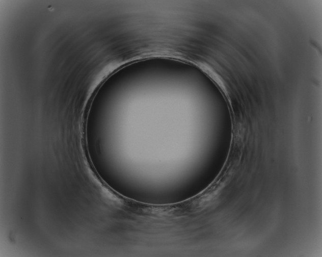 X0000093391005200710191150