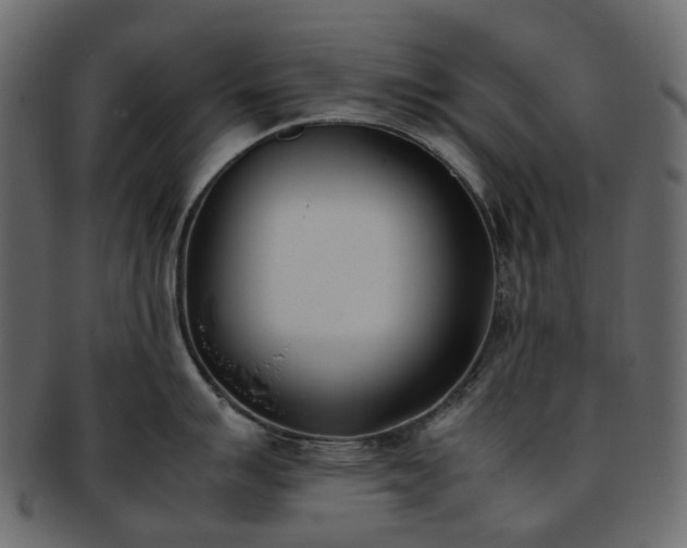 X0000093391007200710191150