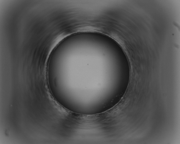 X0000093391008200710191150