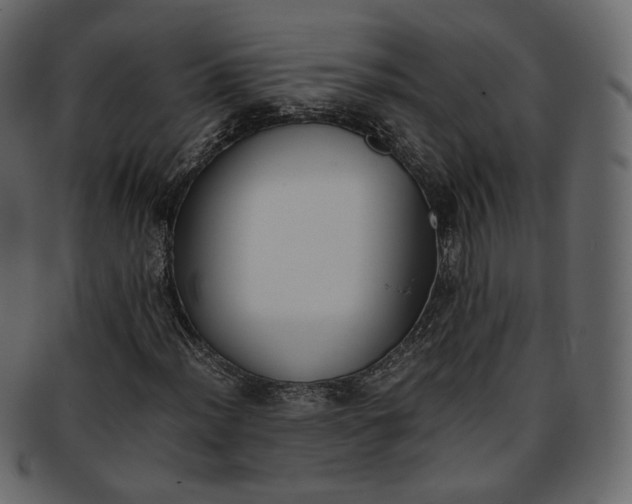 X0000093391012200710191149