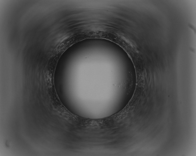 X0000093391013200710191149