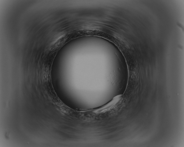 X0000093391014200710191149