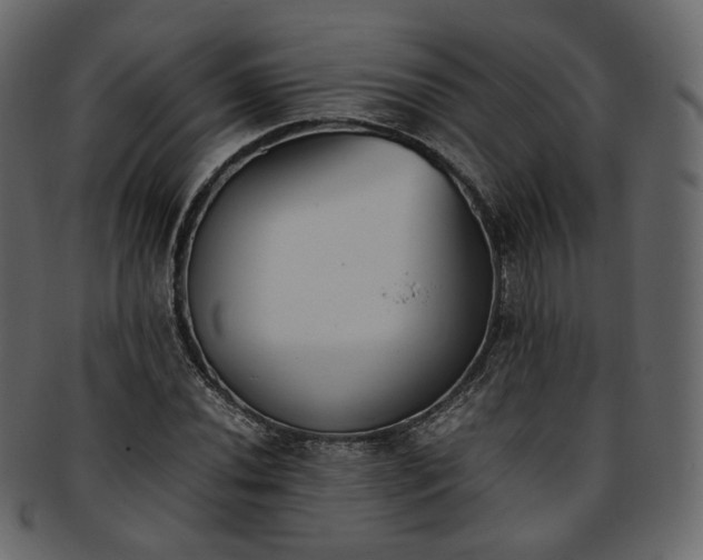 X0000093391020200710191150