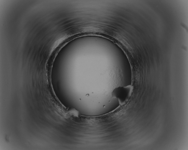 X0000093391022200710191150