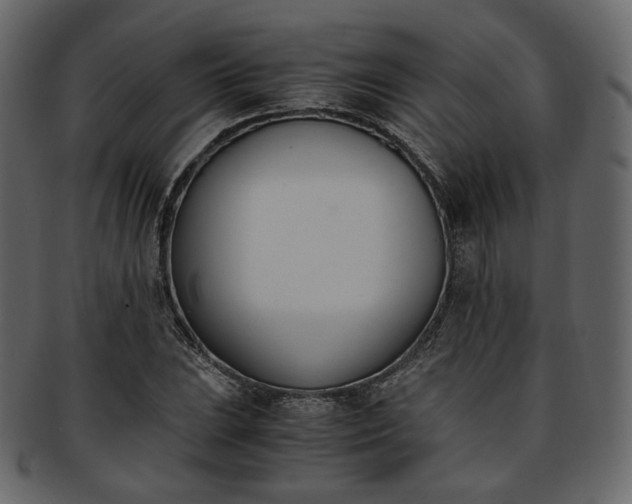 X0000093391023200710191150