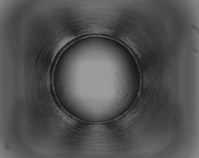 X0000093391024200710191150