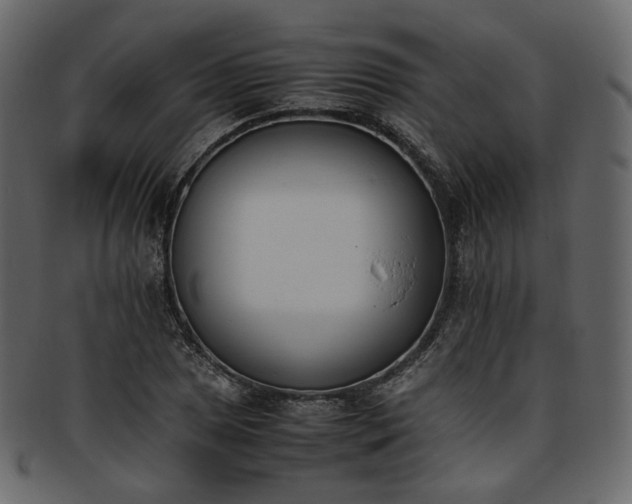 X0000093391025200710191150