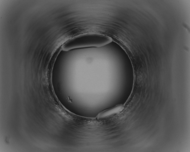 X0000093391026200710191150