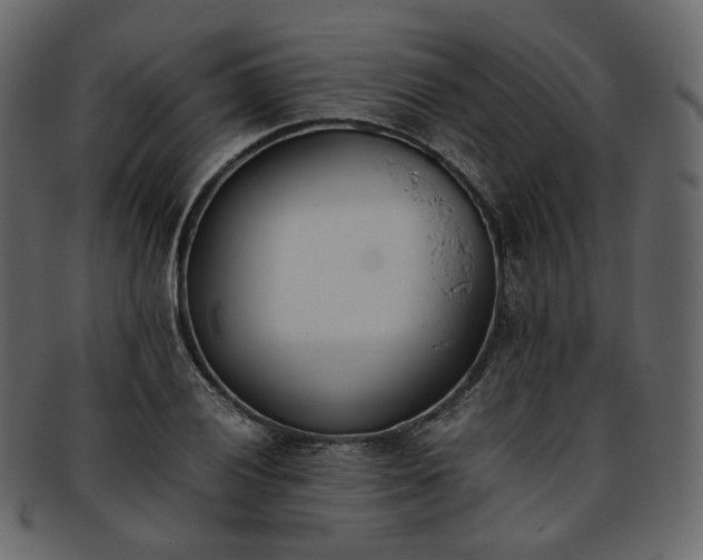 X0000093391028200710191150