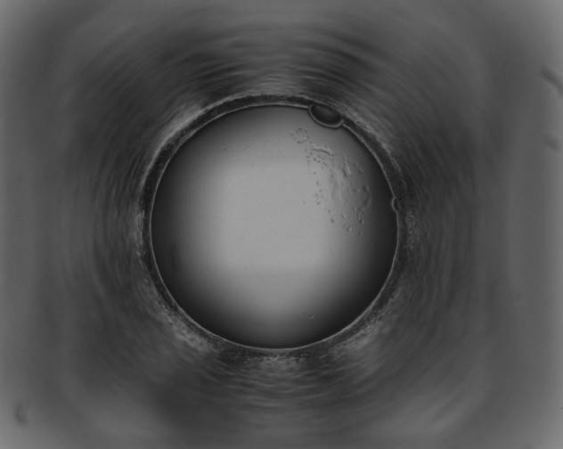 X0000093391029200710191150