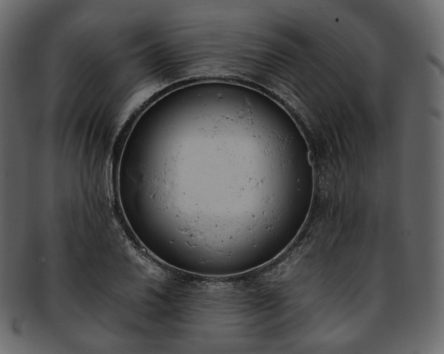 X0000093391030200710191150