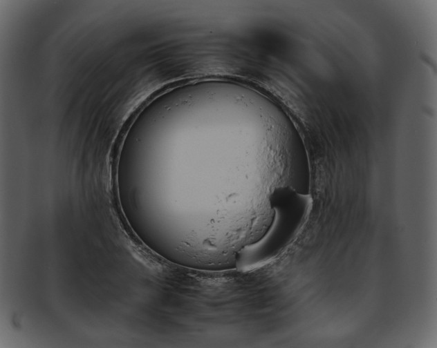 X0000093391031200710191150