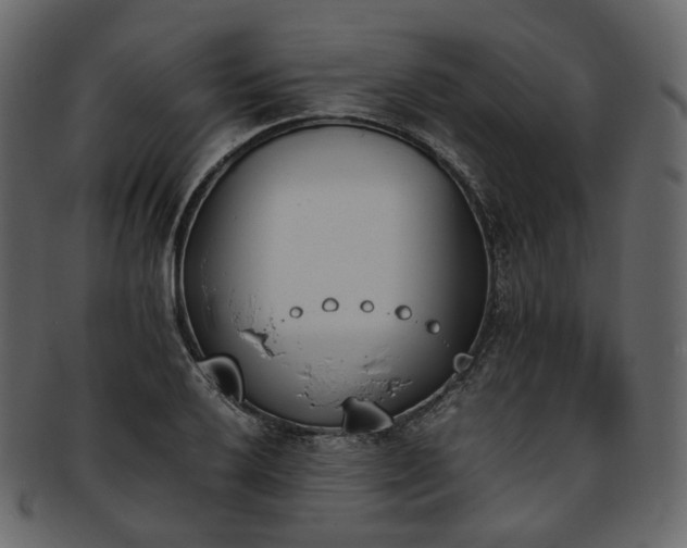 X0000093391032200710191150