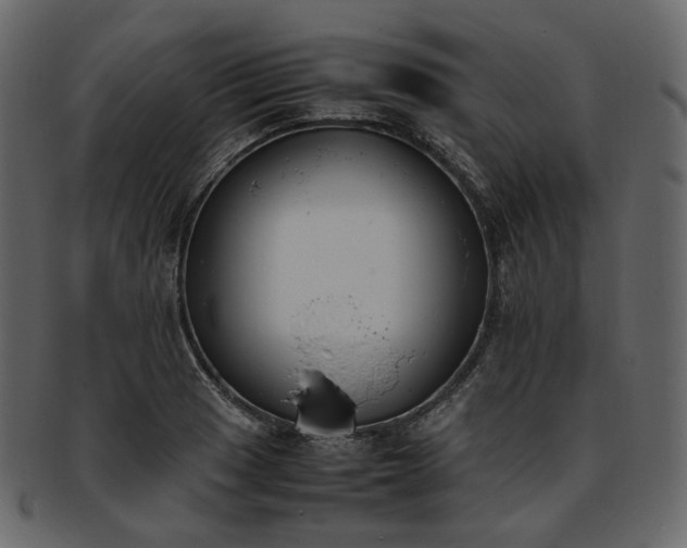 X0000093391033200710191150