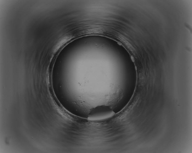 X0000093391034200710191150