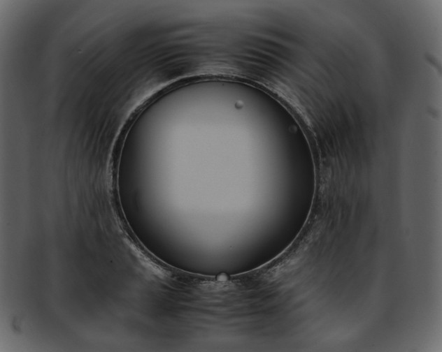 X0000093391037200710191150