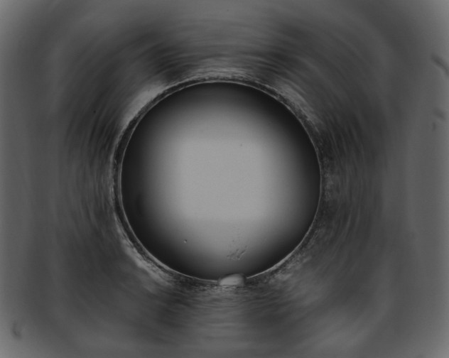 X0000093391038200710191150