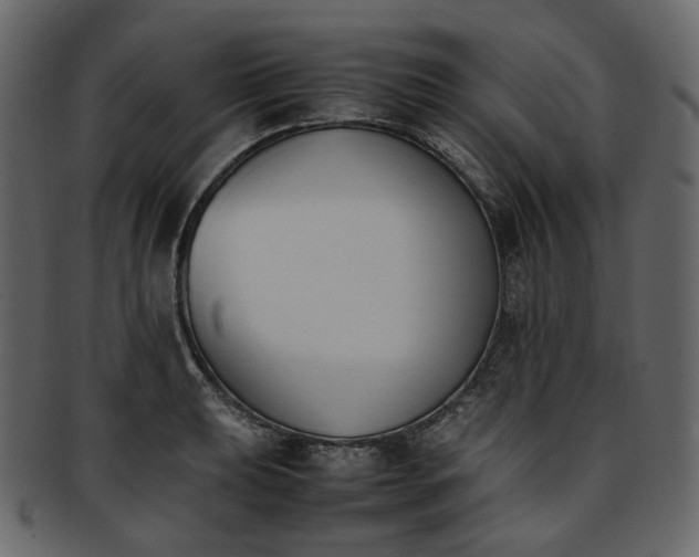 X0000093391039200710191150