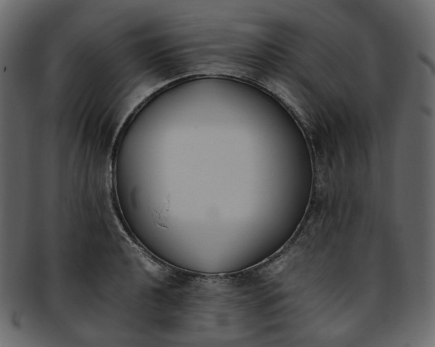 X0000093391040200710191150