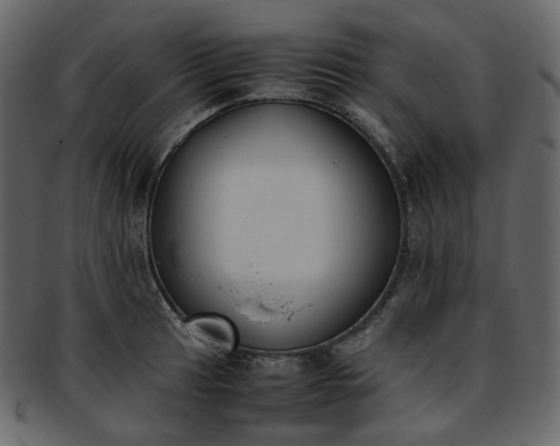 X0000093391041200710191150