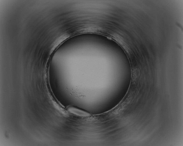 X0000093391042200710191150