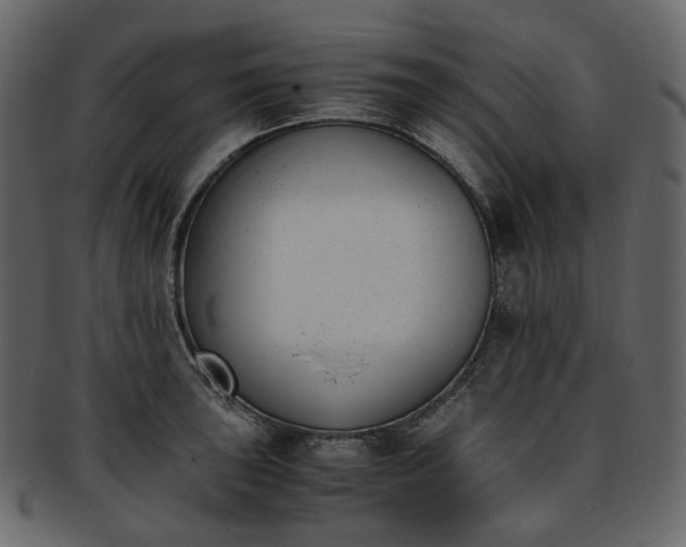 X0000093391043200710191150