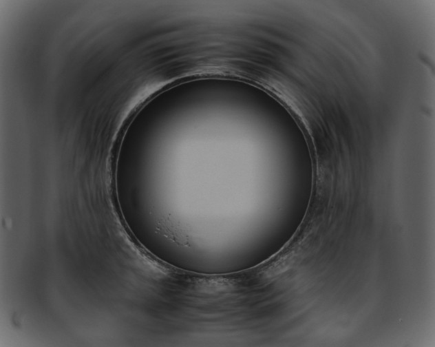 X0000093391045200710191150