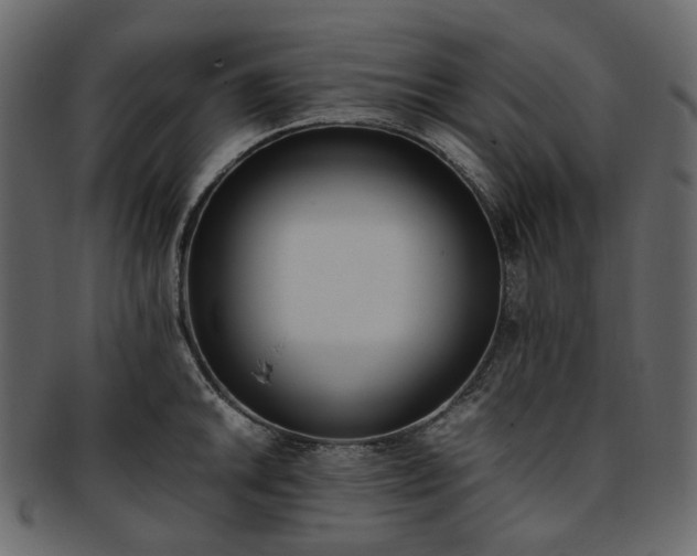 X0000093391046200710191150