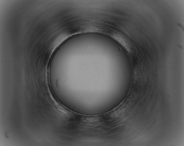 X0000093391047200710191150