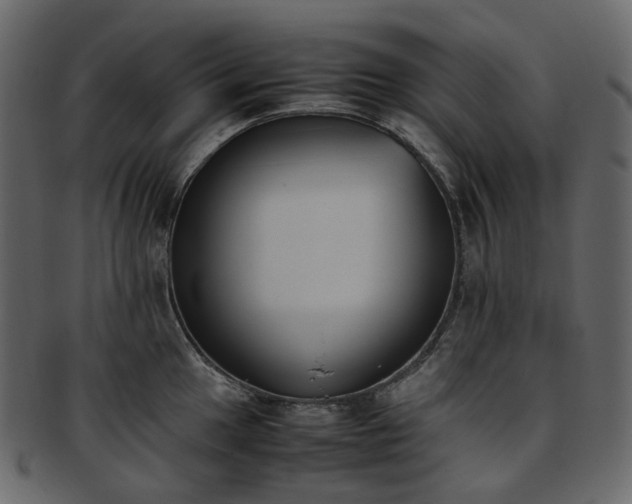 X0000093391049200710191150