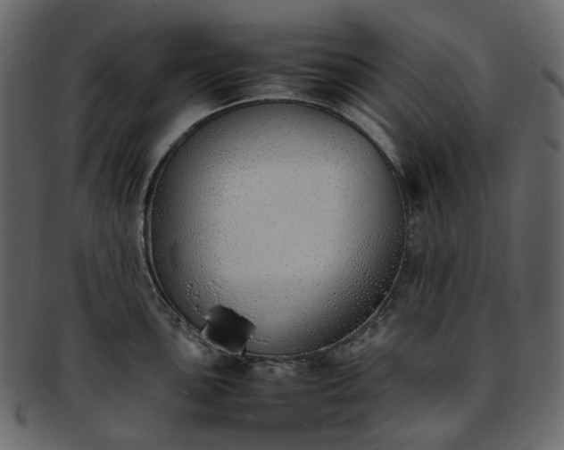 X0000093391051200710191150