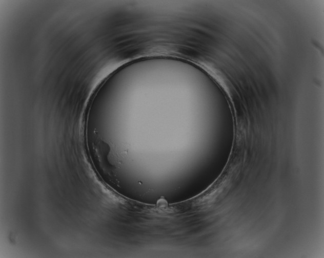 X0000093391053200710191150