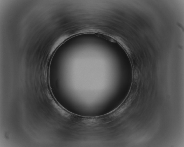 X0000093391054200710191150