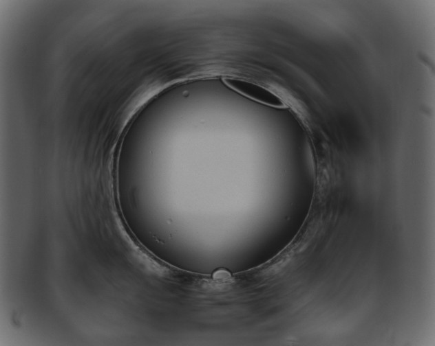 X0000093391055200710191150