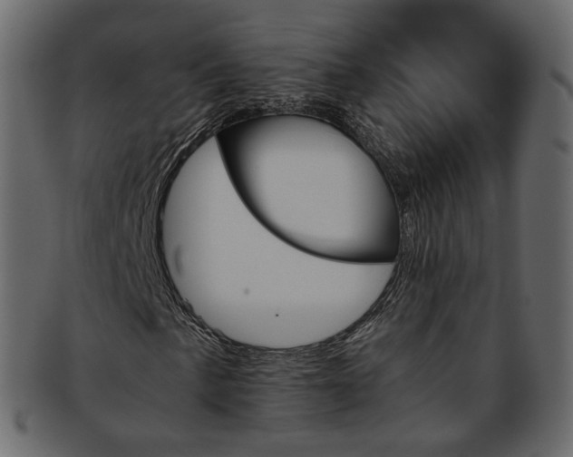 X0000093391057200710191149