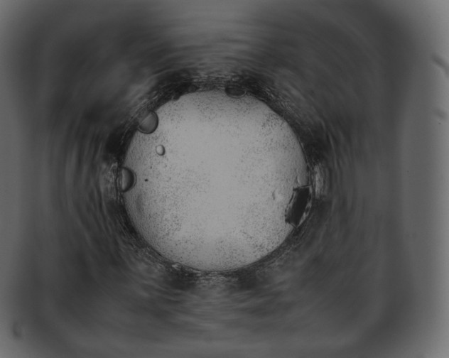 X0000093391059200710191149