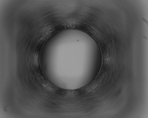 X0000093391060200710191149