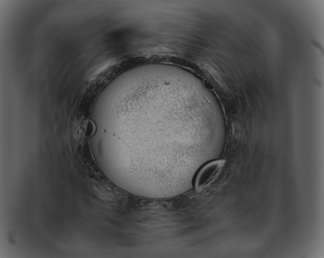 X0000093391063200710191149