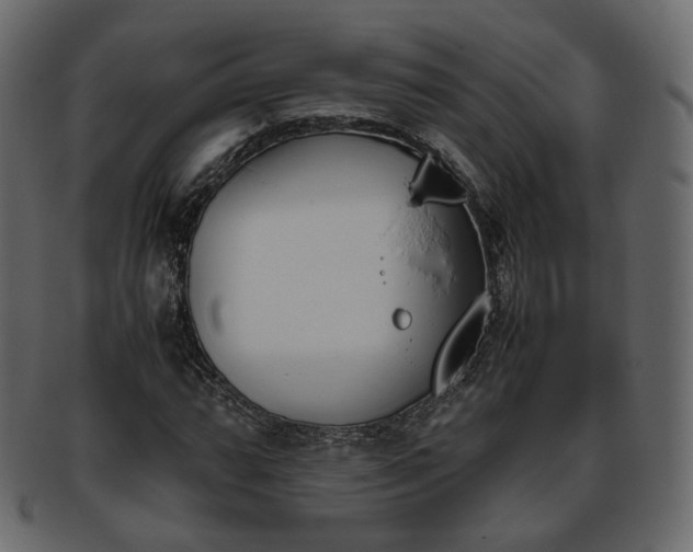 X0000093391064200710191149