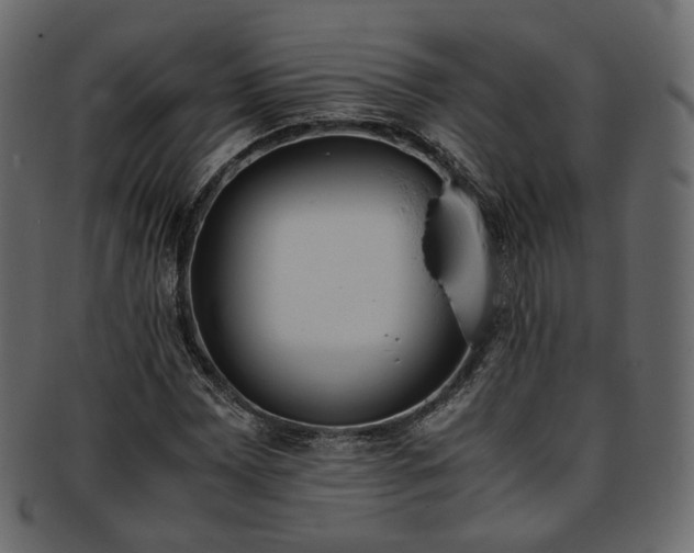 X0000093391065200710191149