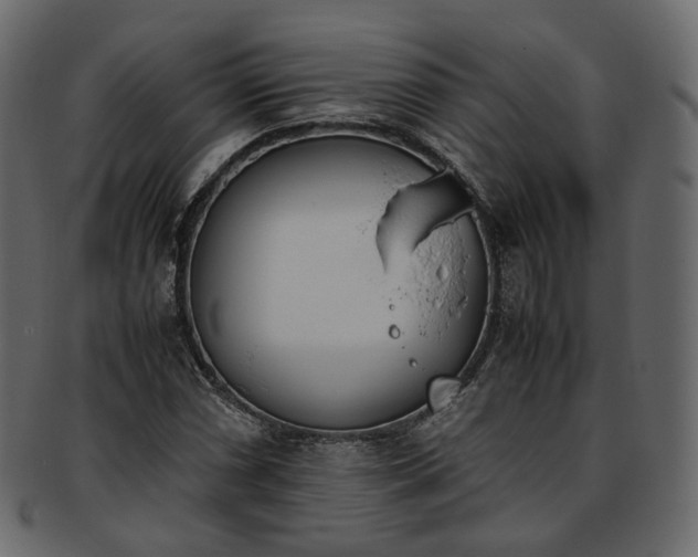 X0000093391066200710191149