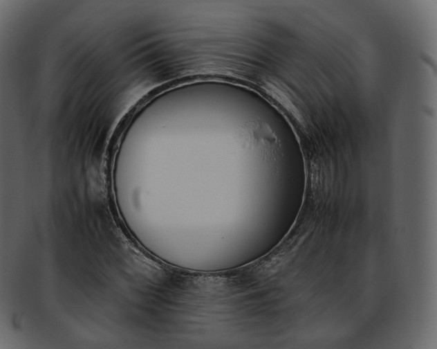 X0000093391068200710191149